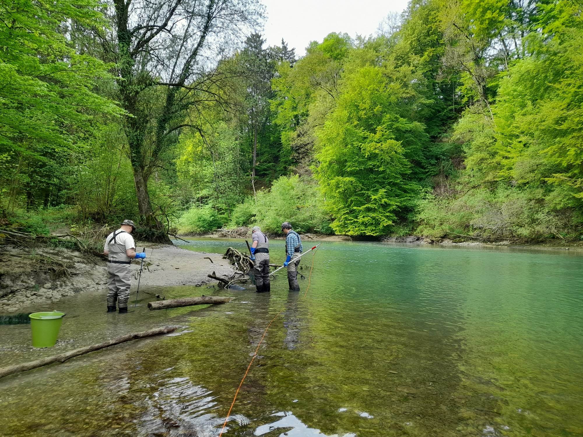 350870264 986517602572272 5297489017292115194 n