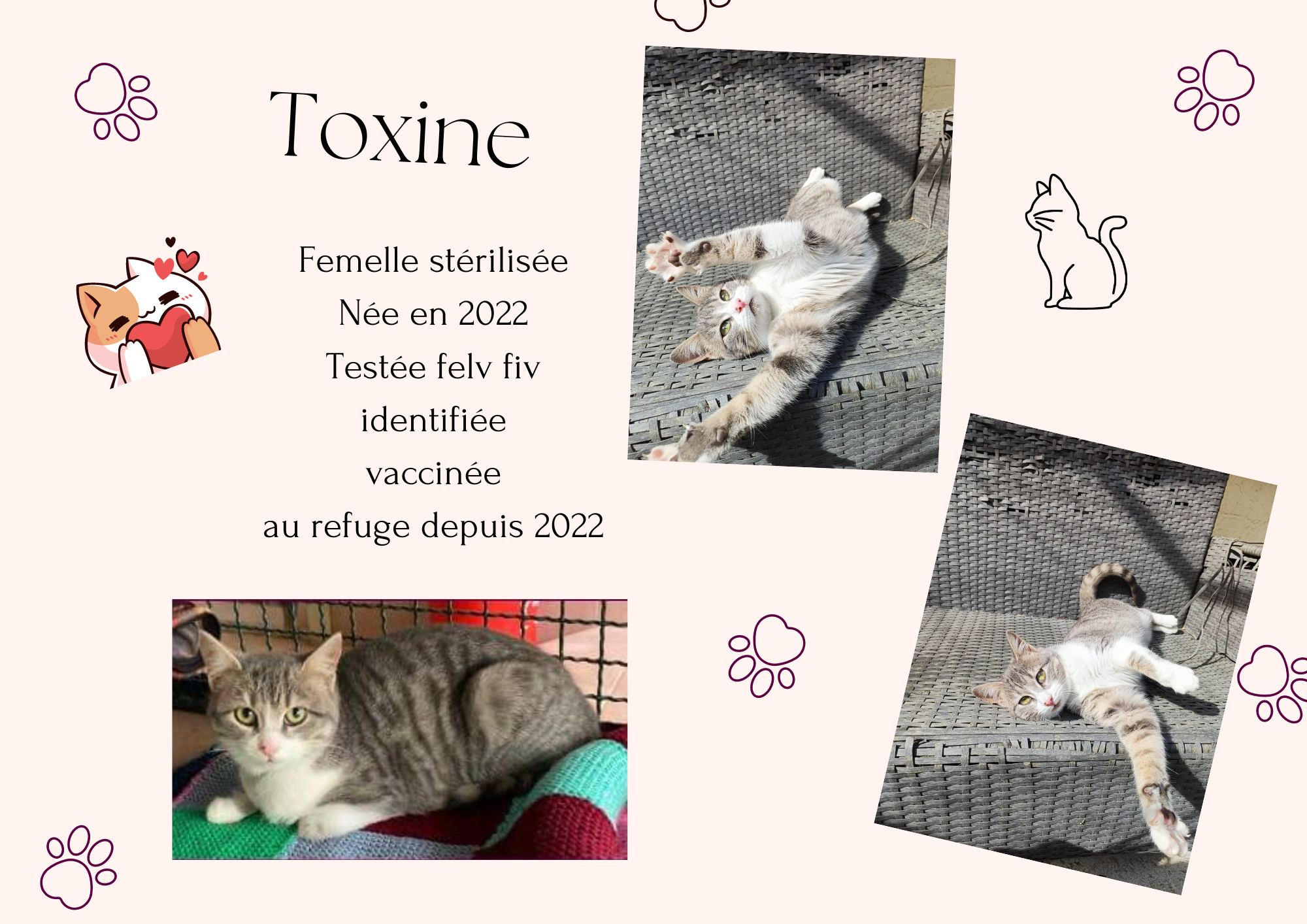 Proposition toxine