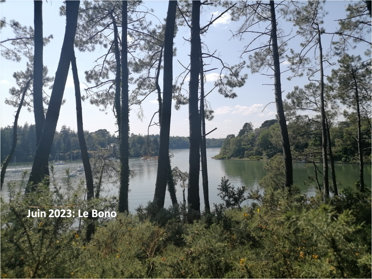 Le bono 1