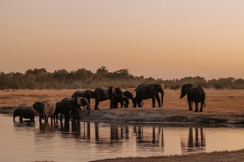 Zimbabwe 1