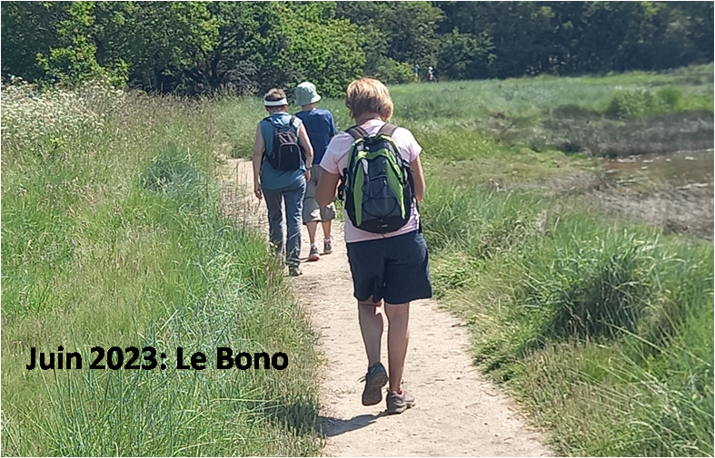 Le bono 8