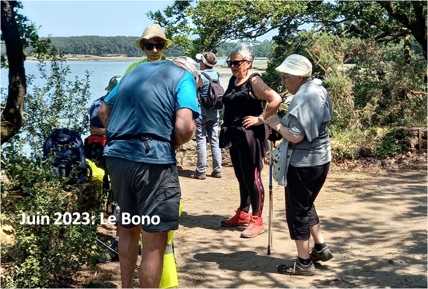 Le bono 7