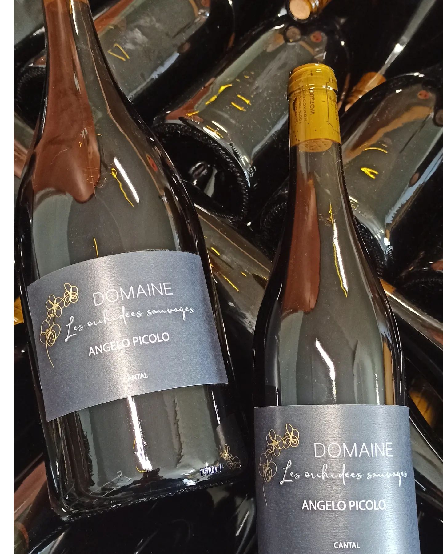 Le domaine les Orchidées Sauvages produit du vin en Auvergne, cabernet