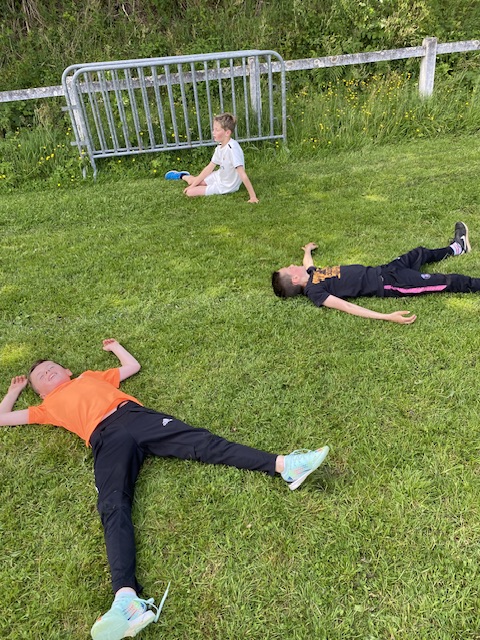 Img 3923