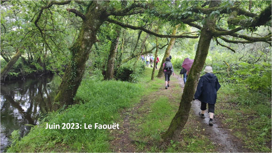 Faouet4