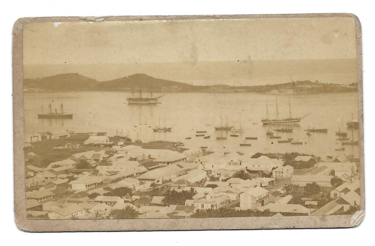 Scan 0244