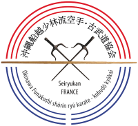 Logo-seiryukan