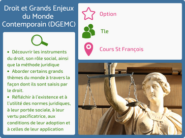 Option Droits et Grands Enjeux du Monde Contemporain au Cours Saint-François de Sales-Troyes