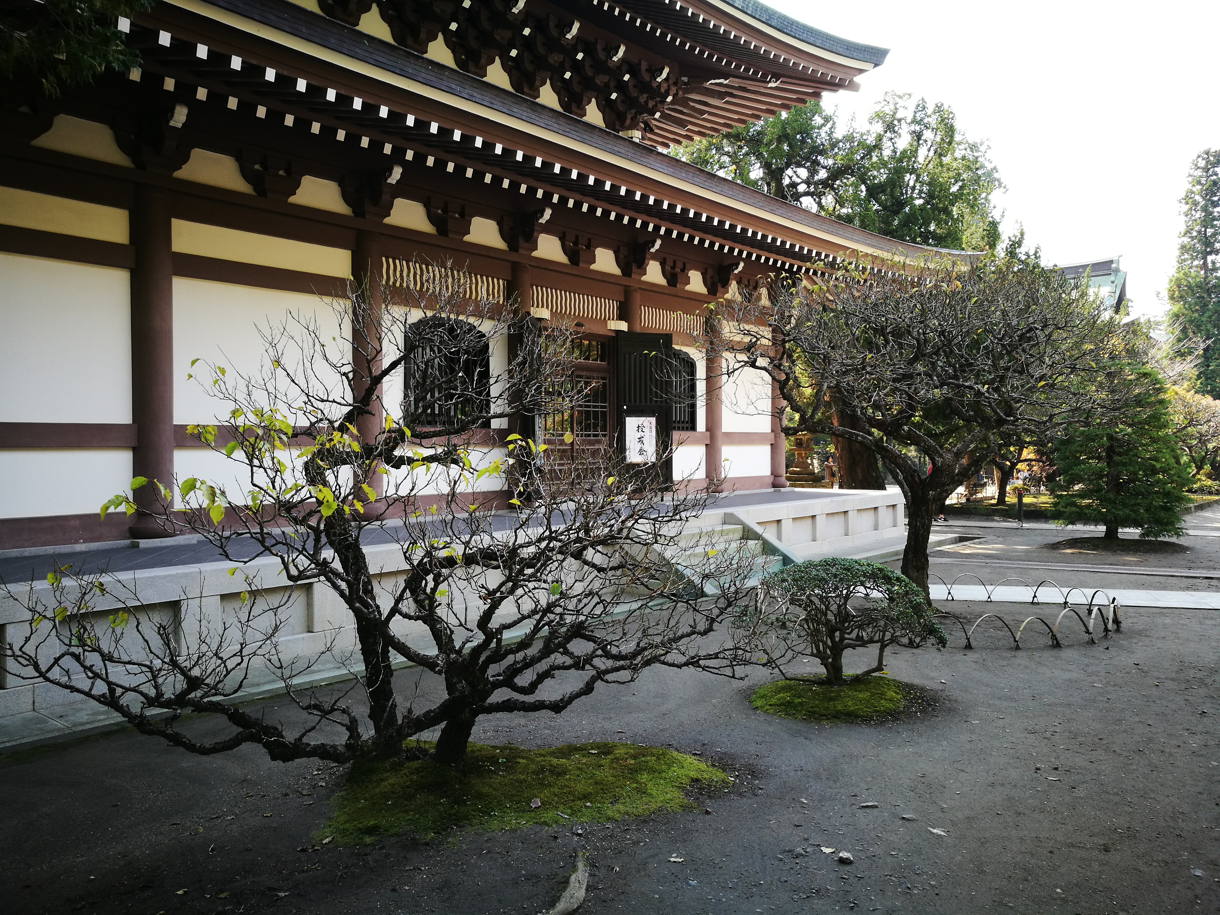 Img 20171102 111037