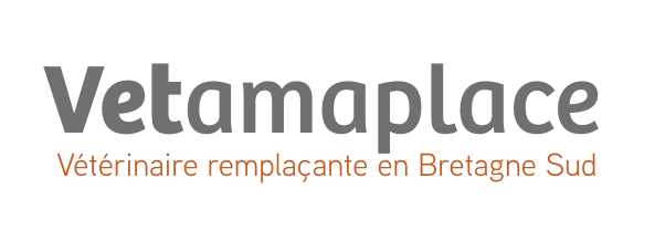 Logo-vetamaplace