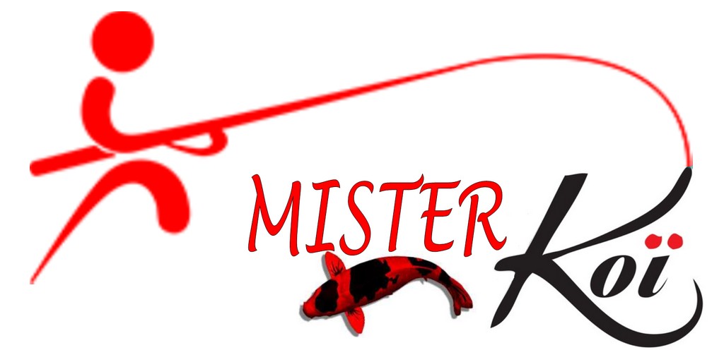 Misterkoi