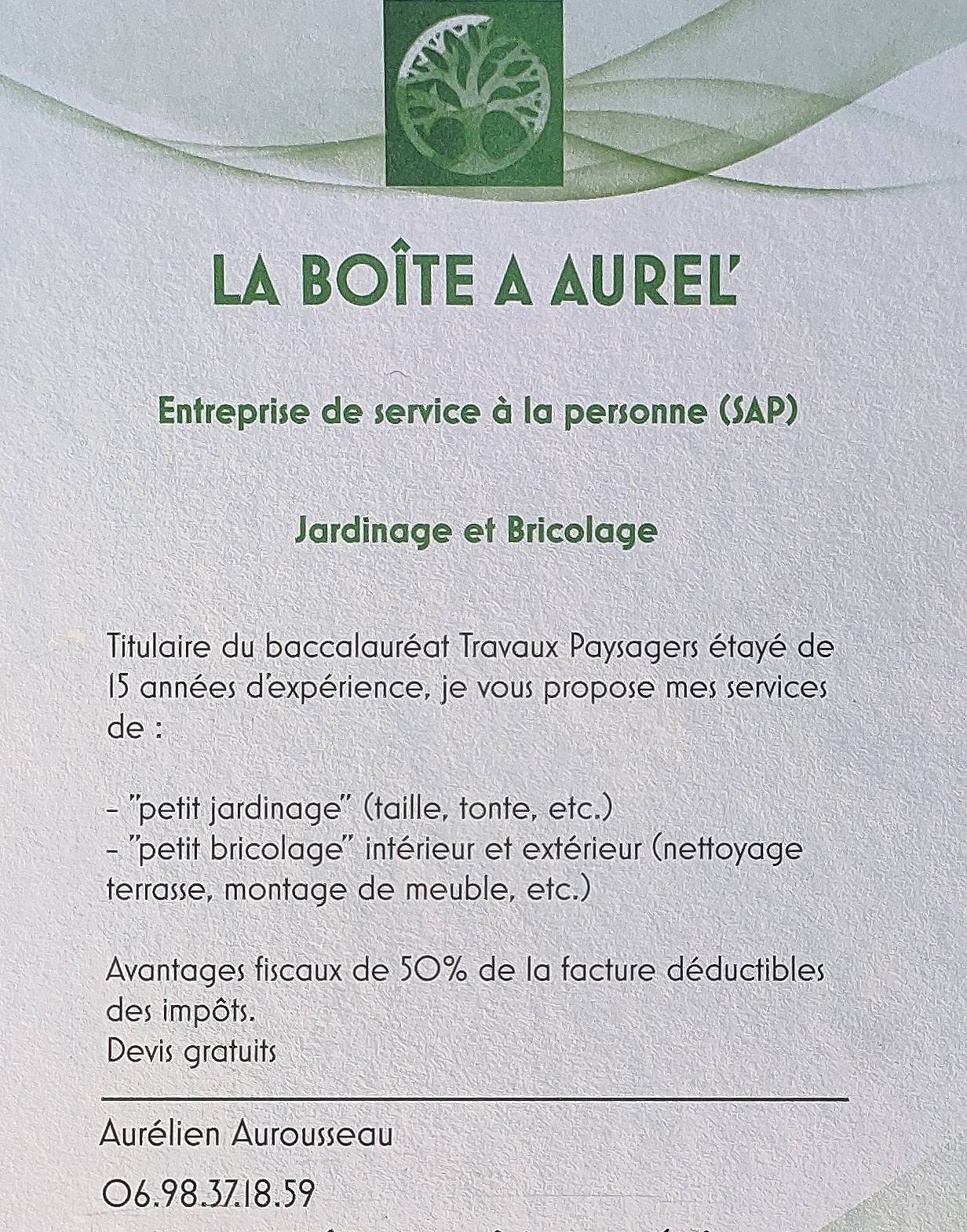 Flyer-2 0