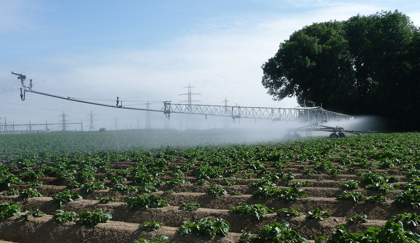 Irrigationchamp4