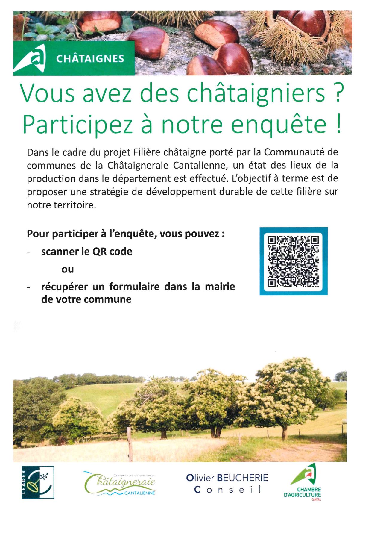 Vous avez des châtaigniers ? Participez à l'enquête de la Chataigneraie Cantalienne !