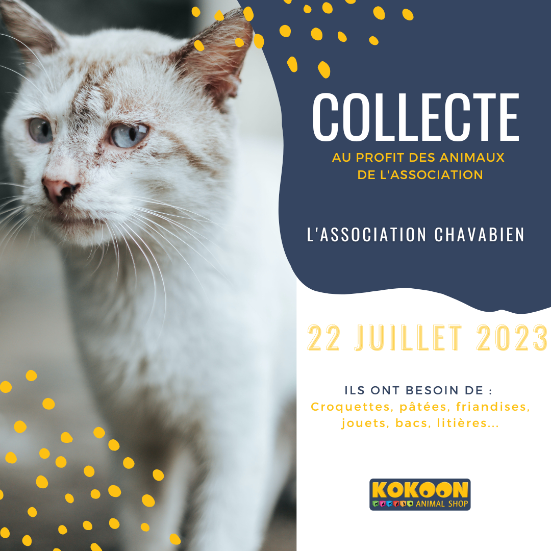 Vallauris le 22 juillet