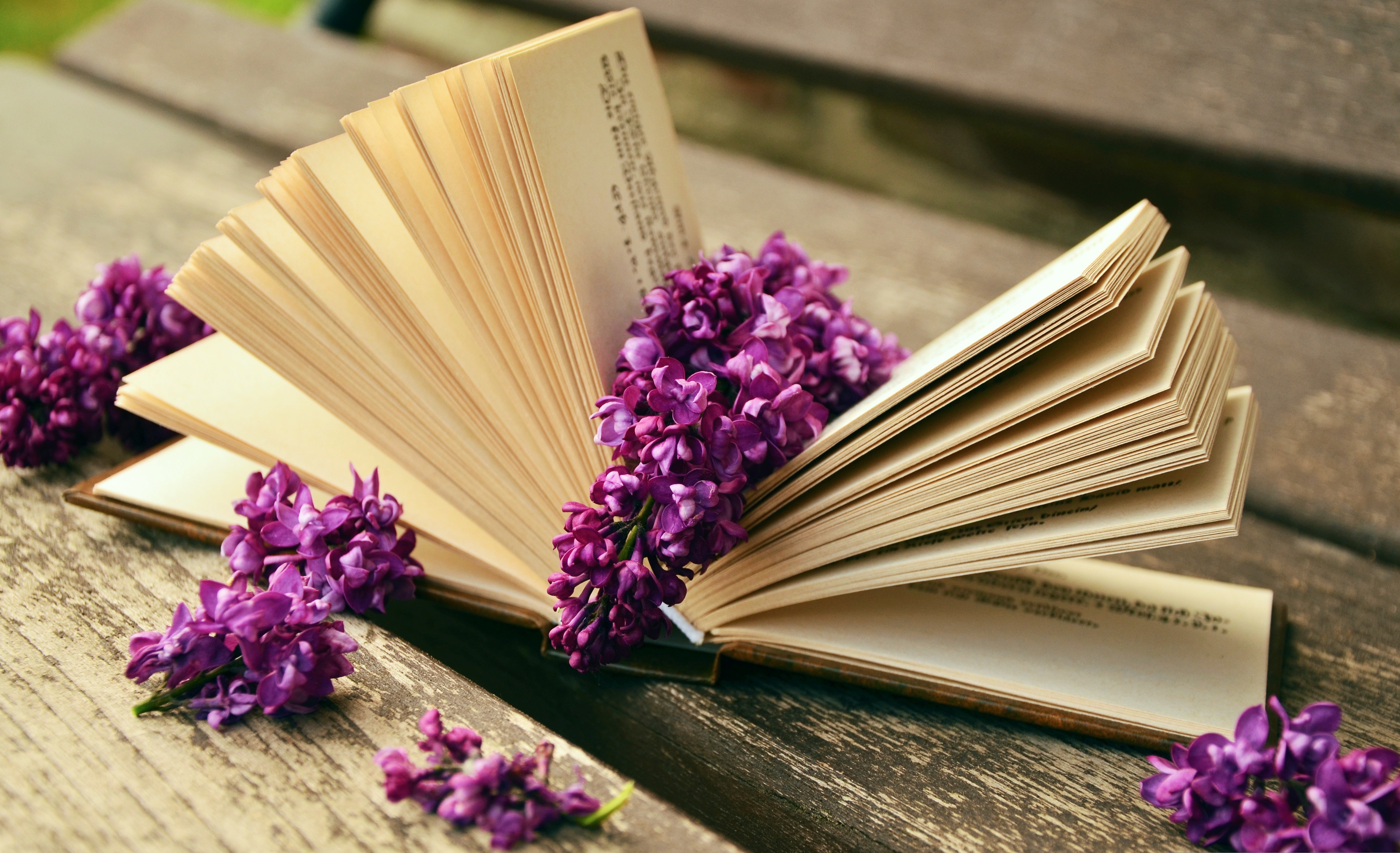 A-book-759873-Congerdesign