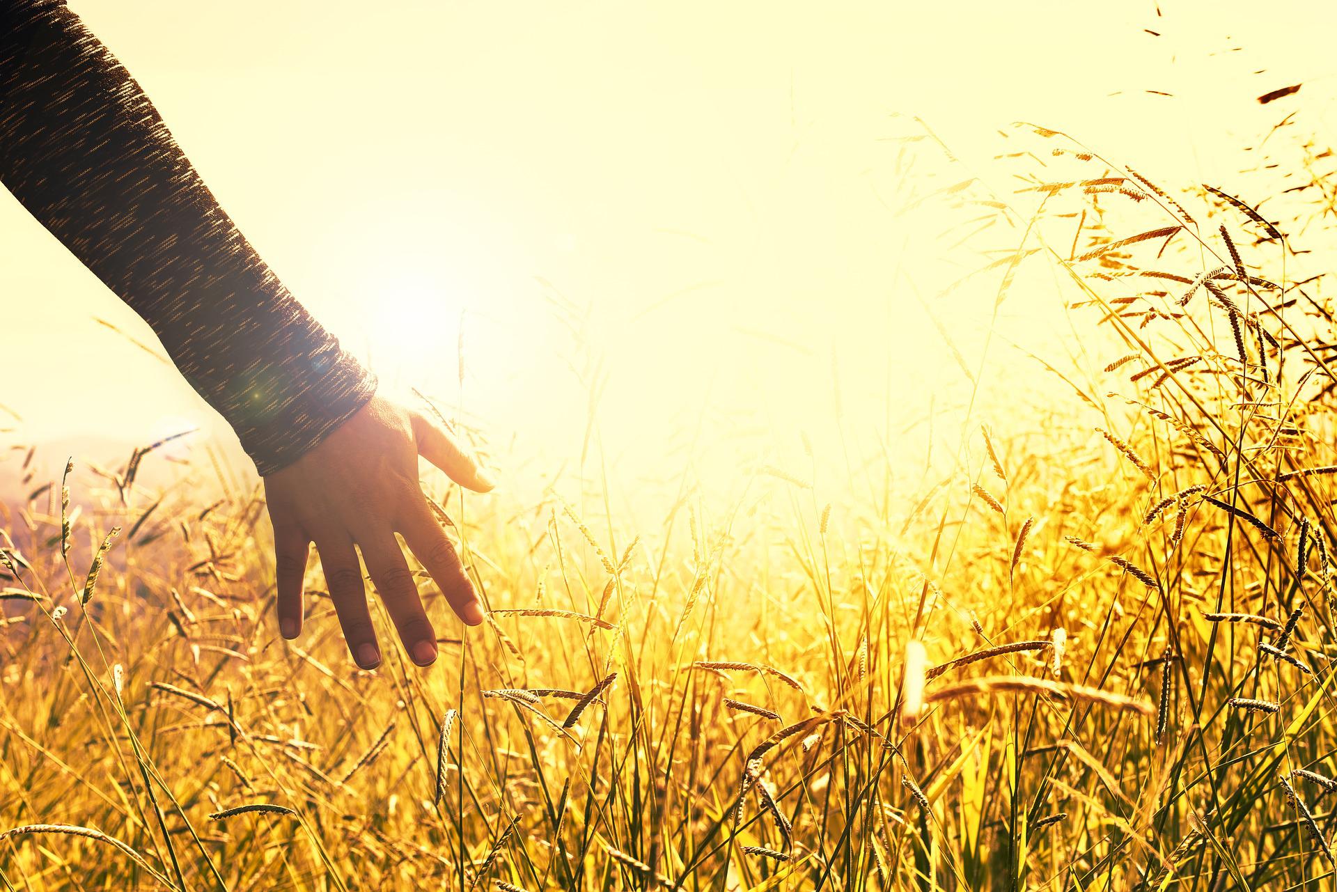 Améliorer facilement son alimentation avec la Naturopathie 