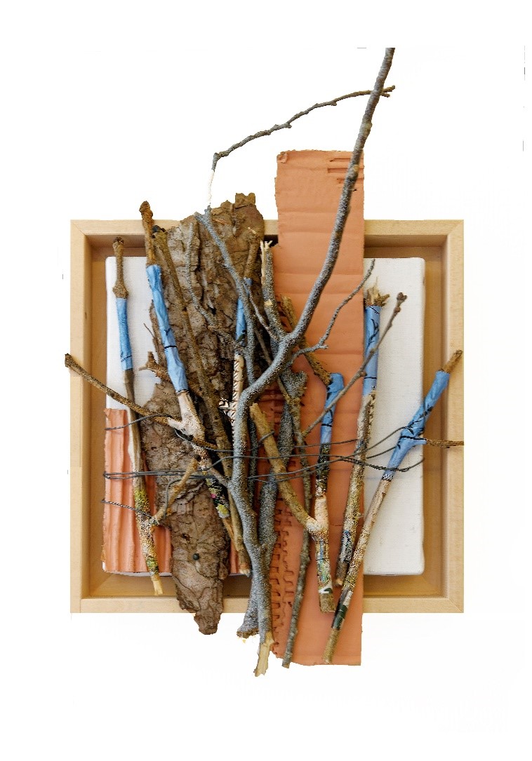 Image6