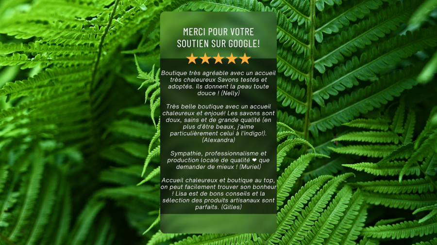 Reviews-big-fern-