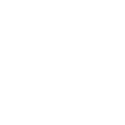 Phone-icon-white-png-6