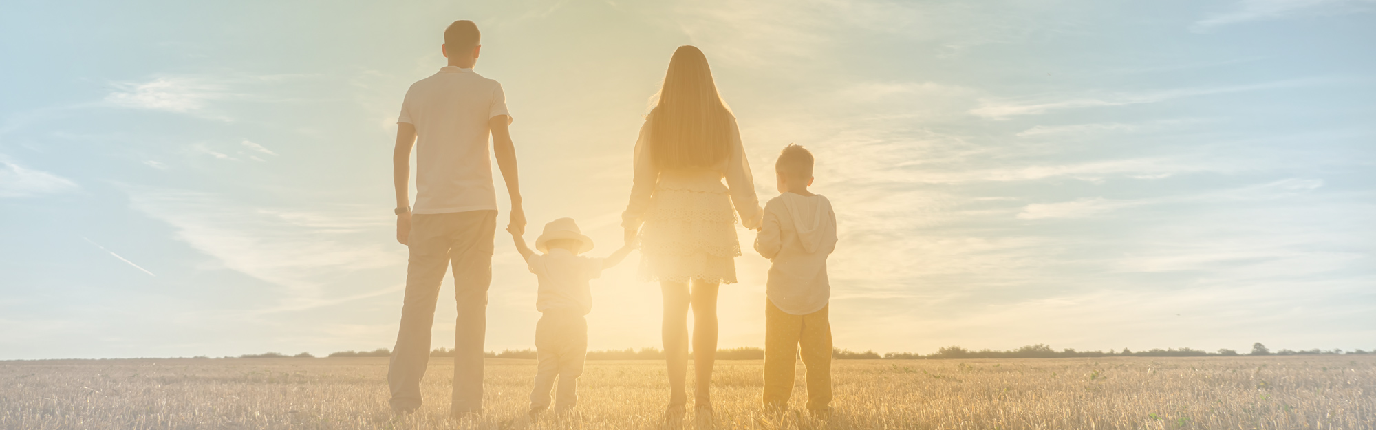Panoramic-view-family-web