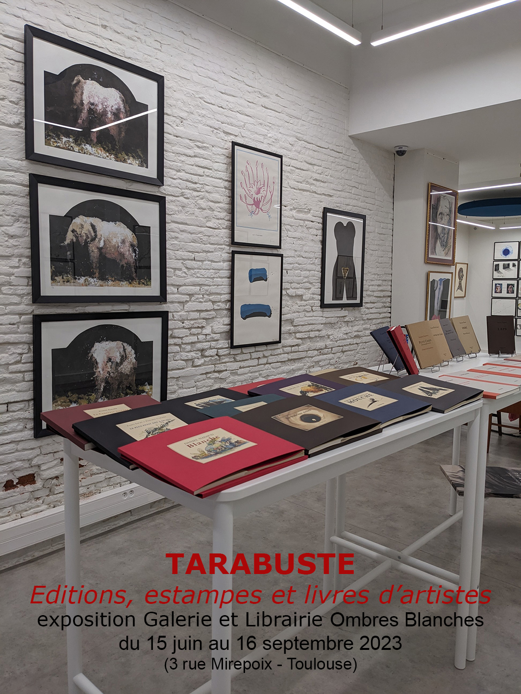 Vue exposition tarabuste editions a la librairie ombres blanches toulouse