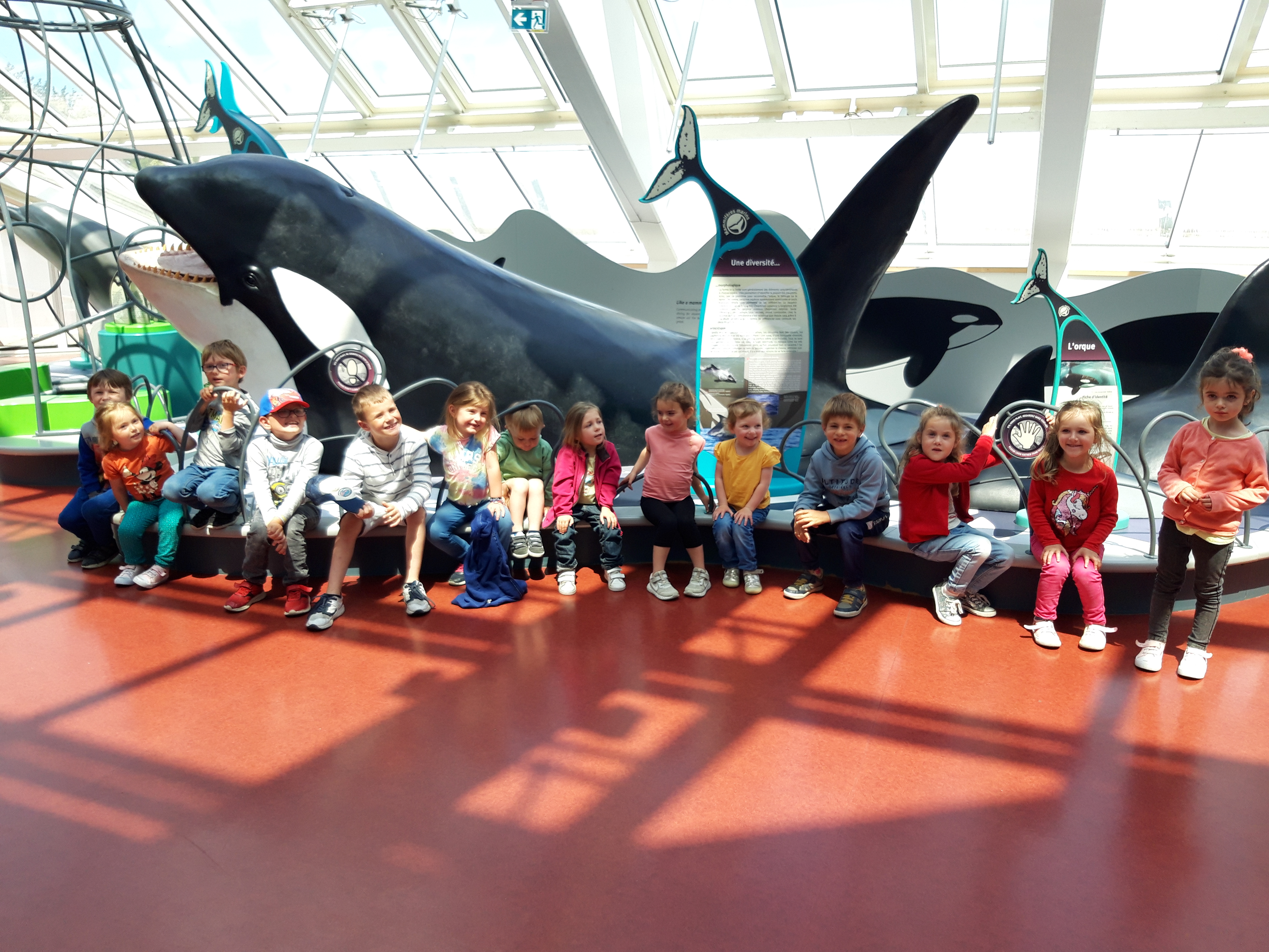 Photo groupe classe maternellle