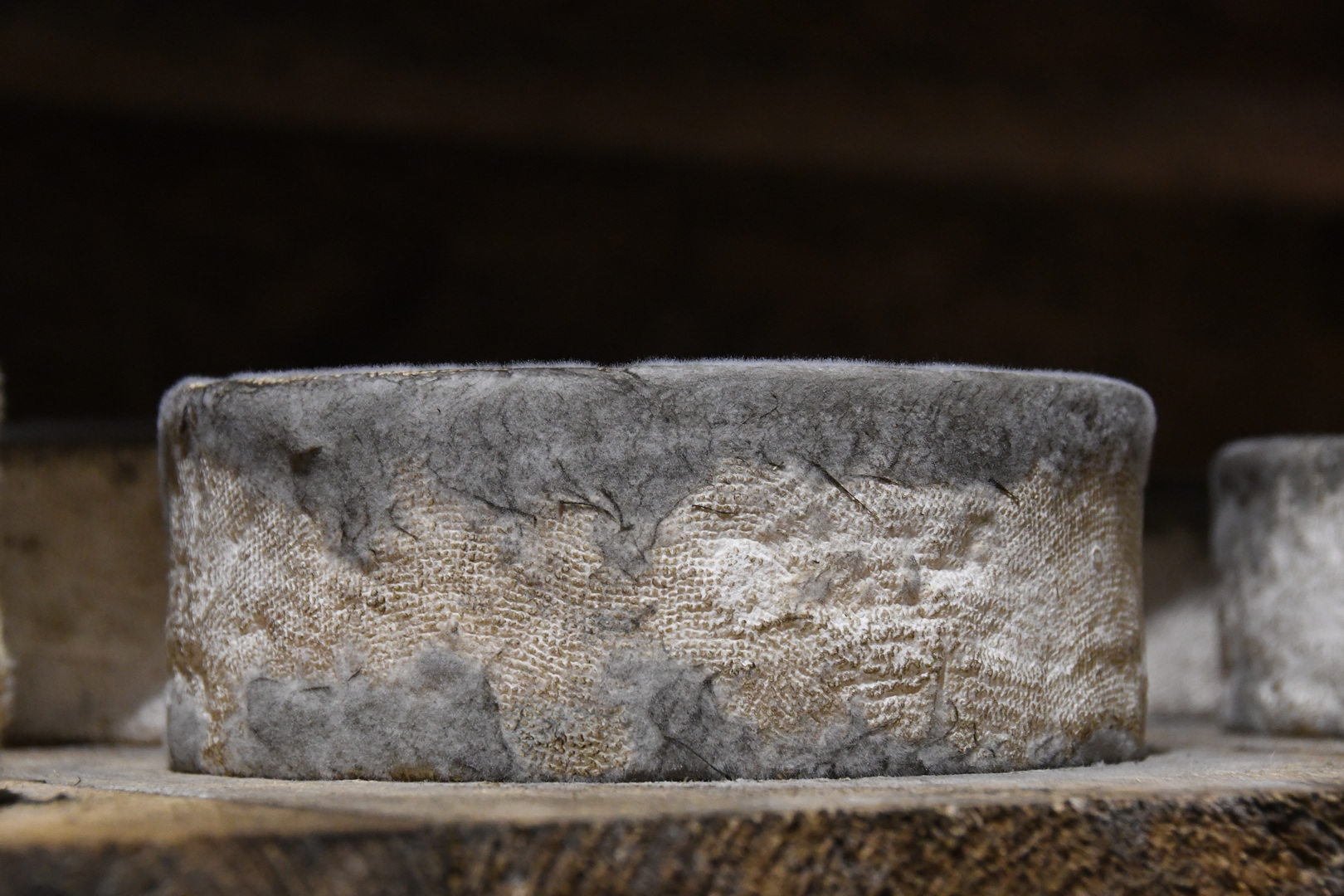 DSC 8771 redimensionner