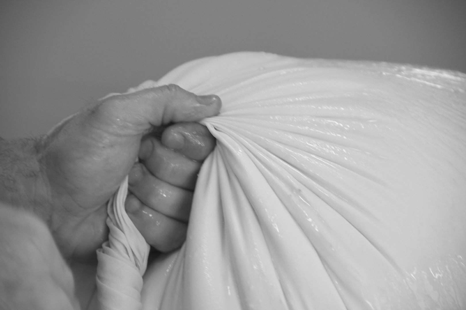 DSC 8855 redimensionner