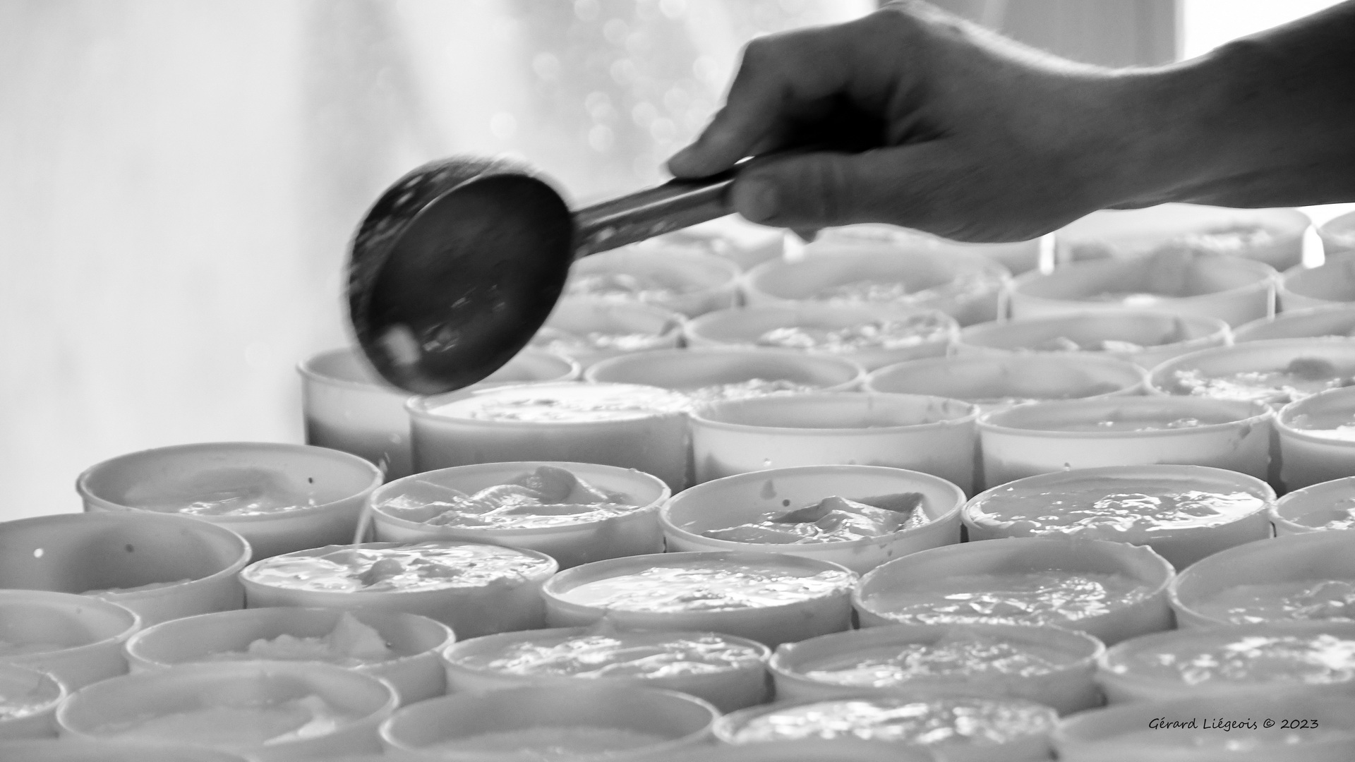 Lactiques-en-N-et-B redimensionner