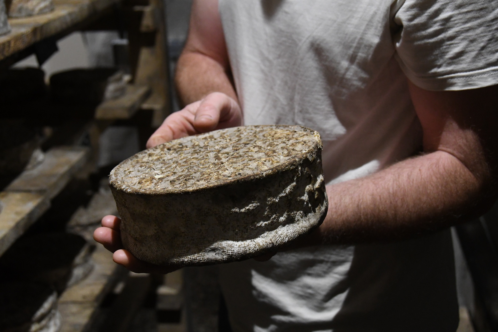 DSC 8766 redimensionner