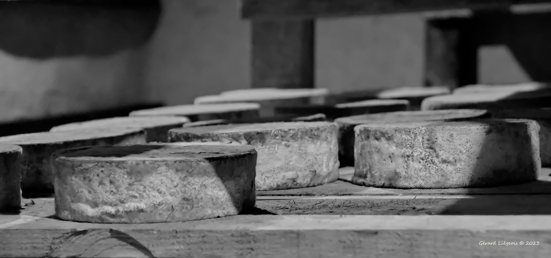 DSC 8783 redimensionner