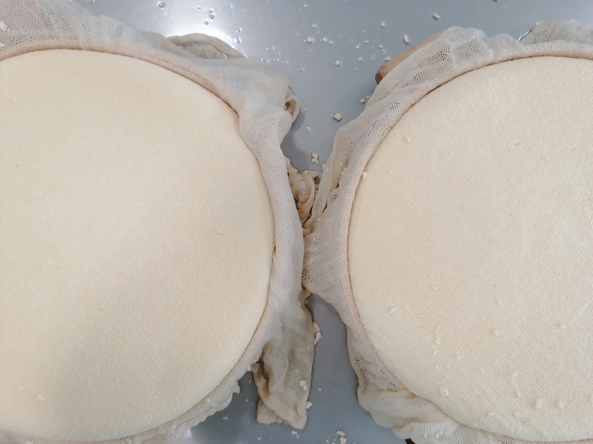 IMG 20230614 111825 resized 20230702 090824101