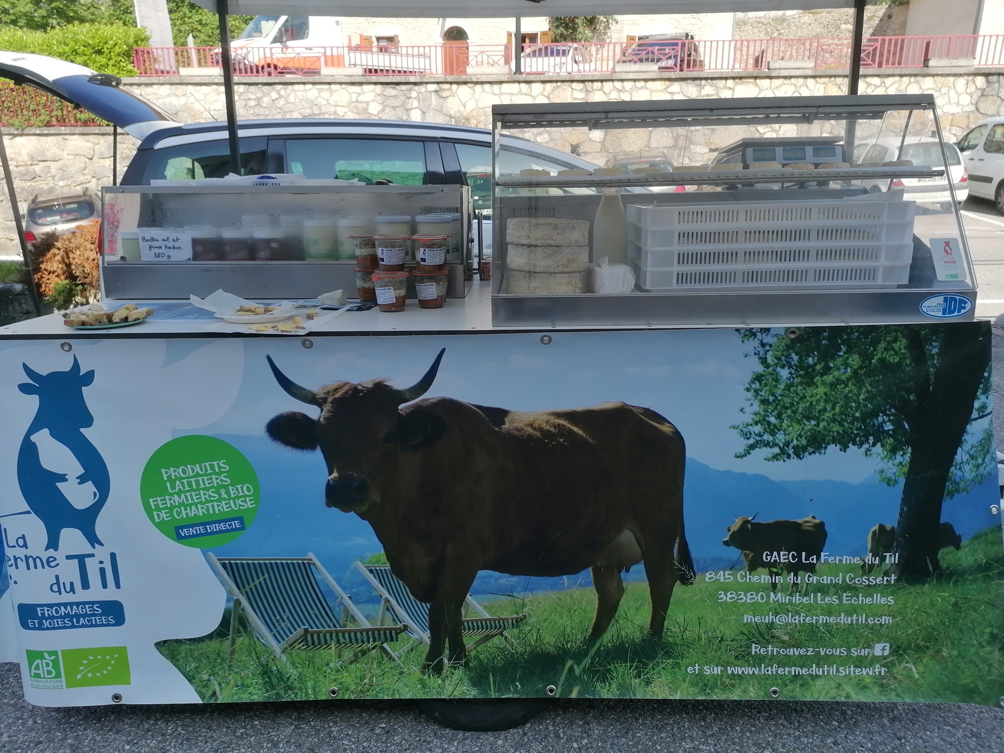 IMG 20230526 095343 resized 20230702 122051488-1