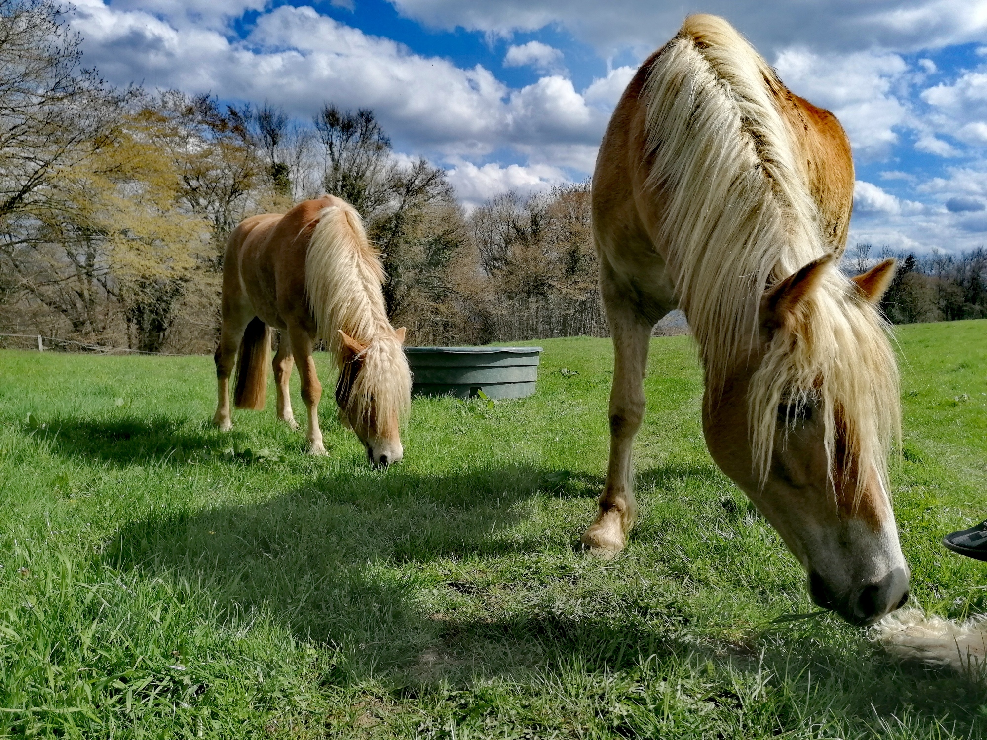 IMG 20230330 171812 resized 20230702 025814697