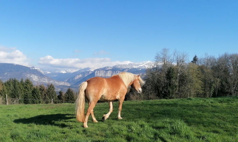 IMG 20230404 174353 edit 224607225059474 resized 20230702 025633123