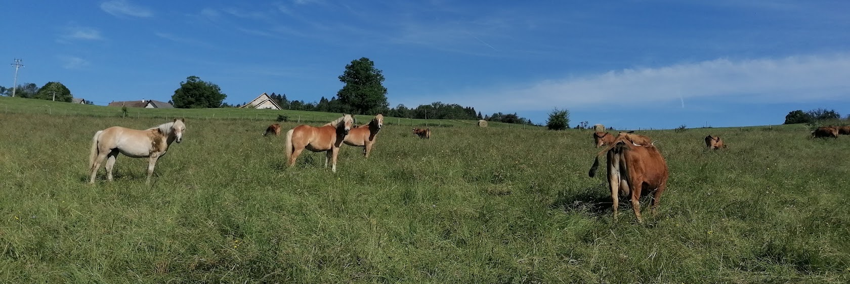 IMG 20220527 092039-2