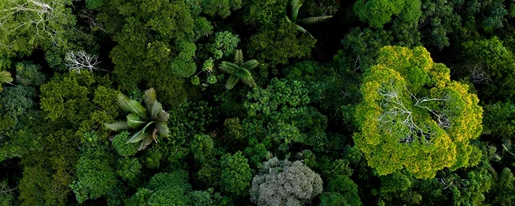 Préserver la biodiversité