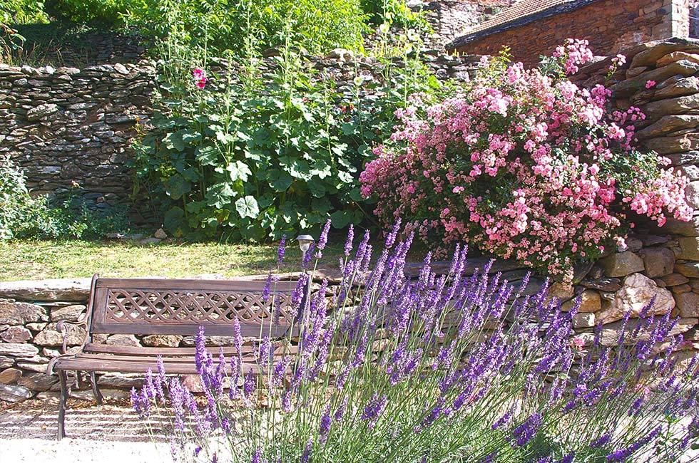 Fleurs-jardin