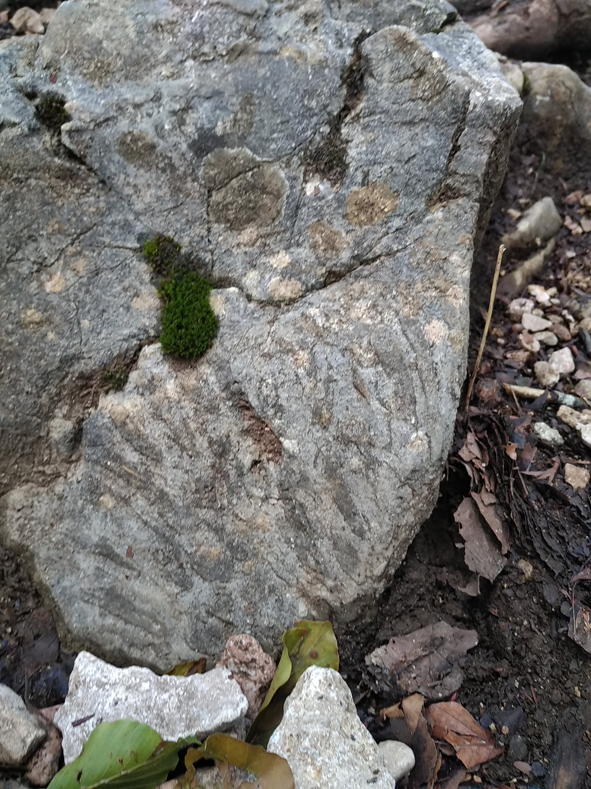 Img 20180810 112915