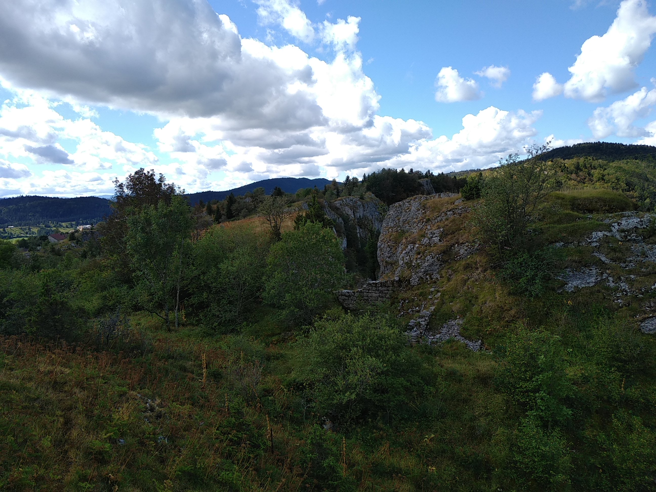 Img 20180810 110255