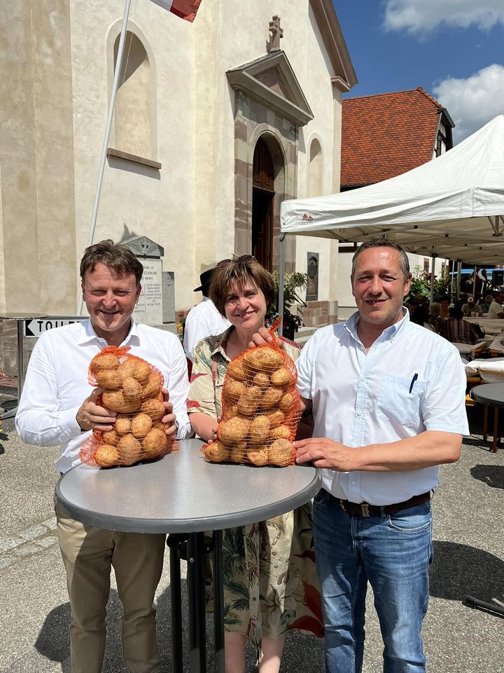 La pdt une legume parmi d autres