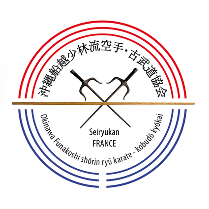 Logo seiryukan big