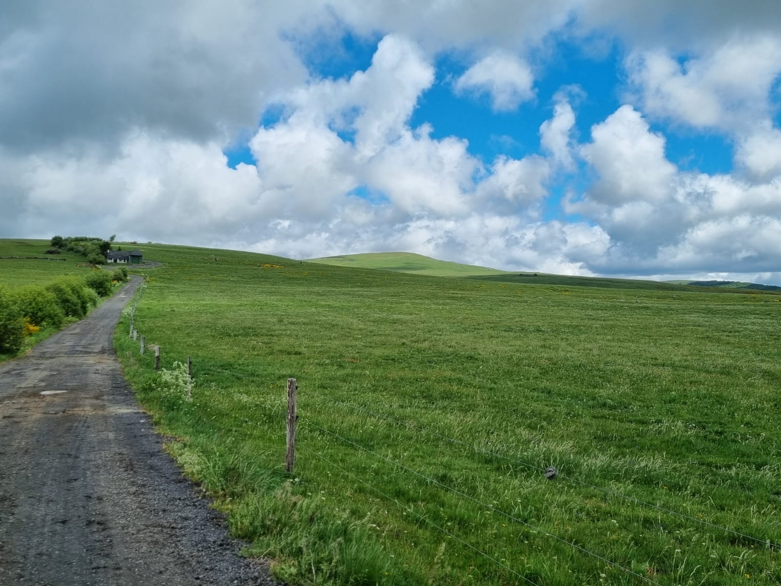 IMG-20220524-WA0009