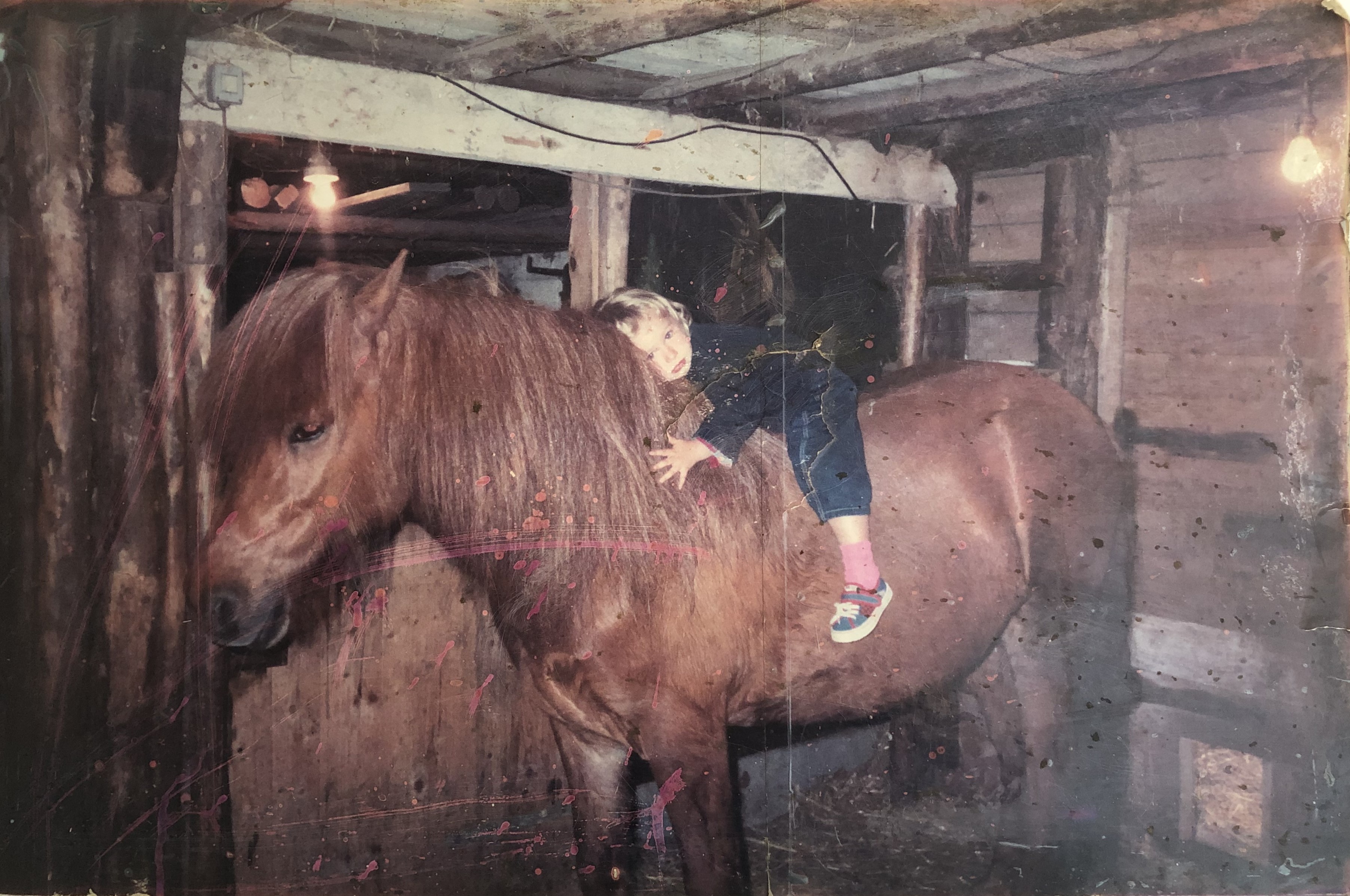 " Le plus bel endroit du monde se trouve sur le dos d'un cheval "