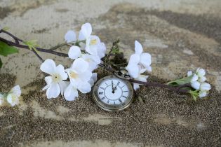 Pocket-watch-1637392-anncapictures