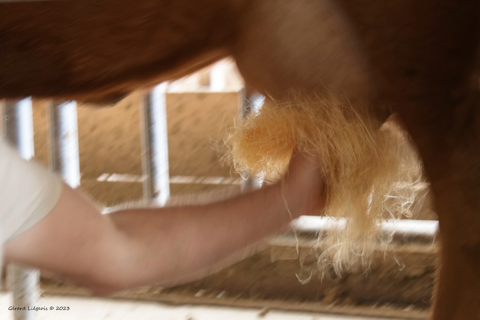 Prepa-traite redimensionner