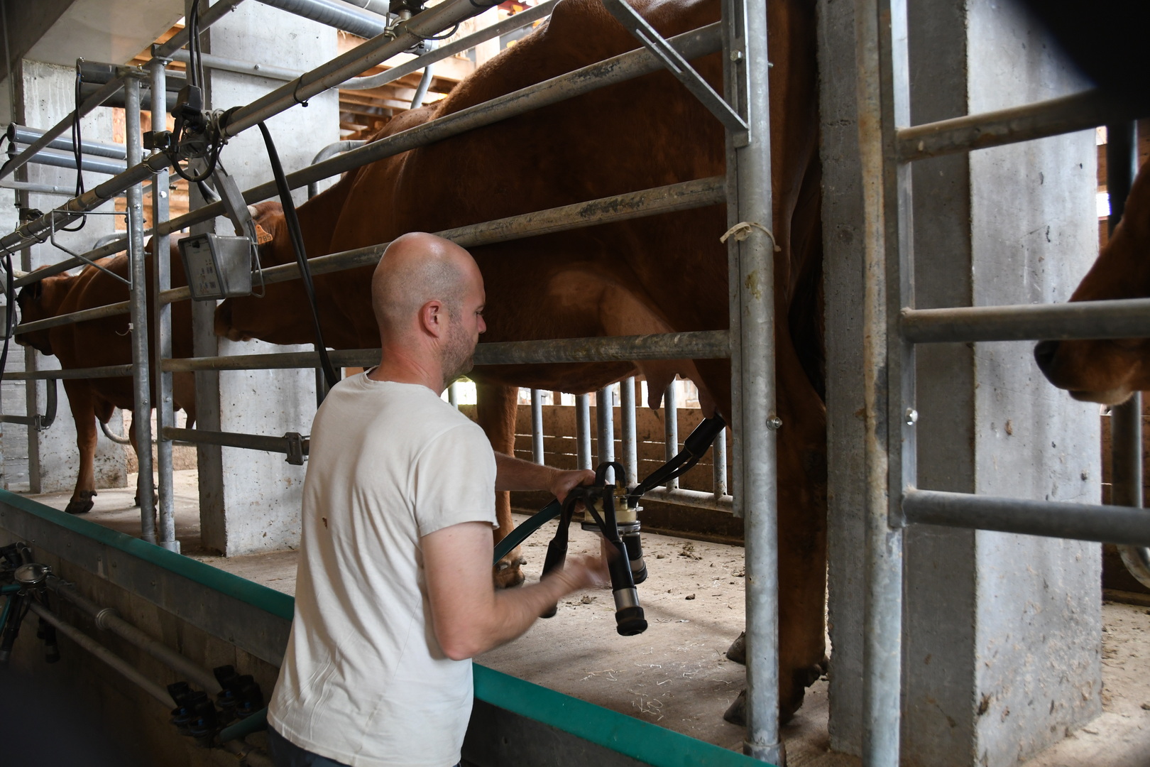 DSC 9254 redimensionner