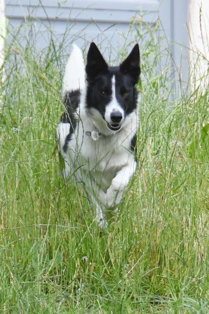 DSC 8928 redimensionner