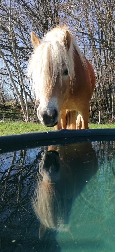 IMG 20230404 191653 resized 20230706 032335973